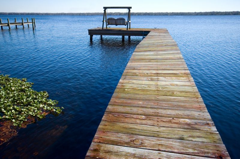 Dock Staining